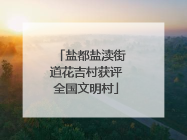盐都盐渎街道花吉村获评全国文明村