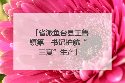 省派鱼台县王鲁镇第一书记护航“三夏”生产