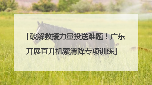 破解救援力量投送难题！广东开展直升机索滑降专项训练