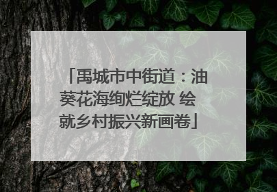 禹城市中街道：油葵花海绚烂绽放 绘就乡村振兴新画卷