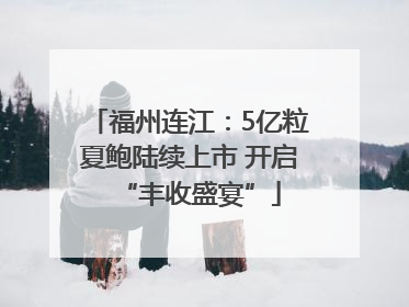福州连江：5亿粒夏鲍陆续上市 开启“丰收盛宴”