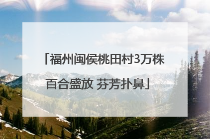 福州闽侯桃田村3万株百合盛放 芬芳扑鼻