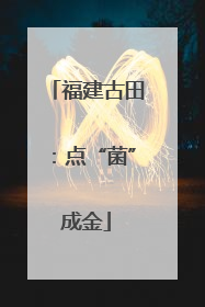 福建古田：点“菌”成金