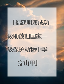 福建明溪成功救助放归国家一级保护动物中华穿山甲