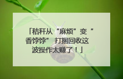 秸秆从“麻烦”变“香饽饽” 打捆回收这波操作太赚了！