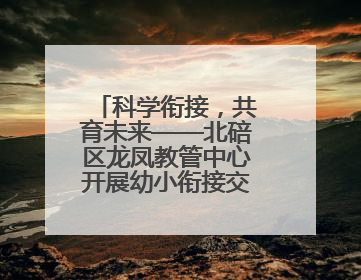 科学衔接，共育未来——北碚区龙凤教管中心开展幼小衔接交流活动