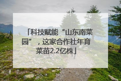 科技赋能“山东南菜园”，这家合作社年育菜苗2.2亿株