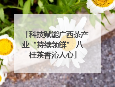 科技赋能广西茶产业“持续领鲜” 八桂茶香沁人心