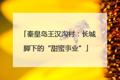 秦皇岛王汉沟村：长城脚下的“甜蜜事业”