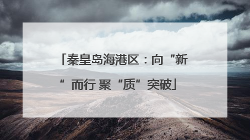 秦皇岛海港区：向“新”而行 聚“质”突破