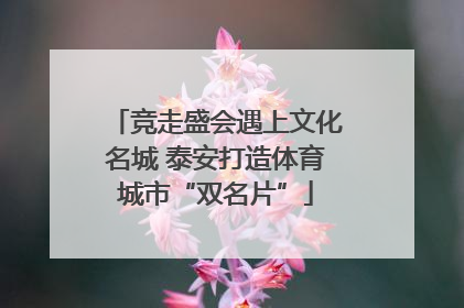 竞走盛会遇上文化名城 泰安打造体育城市“双名片”