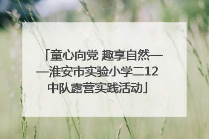 童心向党 趣享自然——淮安市实验小学二12中队露营实践活动