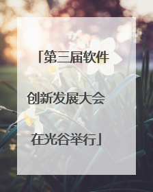 第三届软件创新发展大会在光谷举行