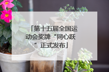 第十五届全国运动会奖牌“同心跃”正式发布
