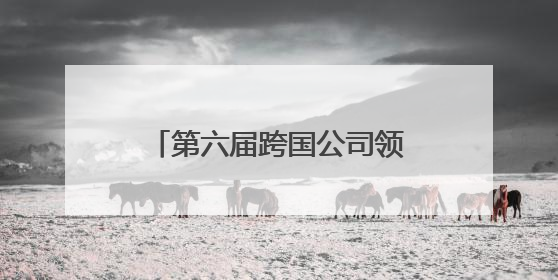 第六届跨国公司领导人青岛峰会通用航空和低空经济发展论坛成功举办
