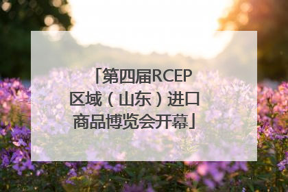 第四届RCEP区域（山东）进口商品博览会开幕