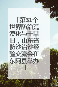 第31个世界防治荒漠化与干旱日，山东省防沙治沙经验交流会在东阿县举办