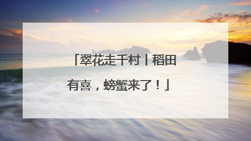翠花走千村丨稻田有喜，螃蟹来了！