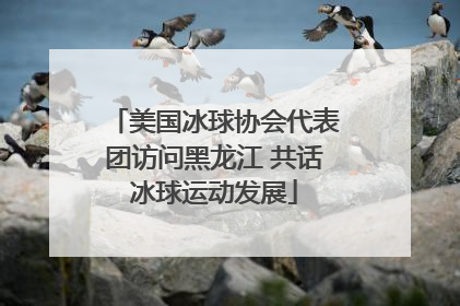 美国冰球协会代表团访问黑龙江 共话冰球运动发展