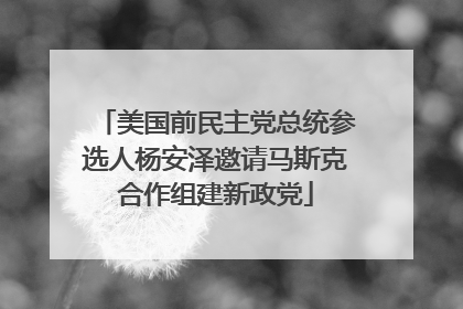 美国前民主党总统参选人杨安泽邀请马斯克合作组建新政党