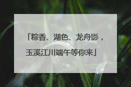 粽香、湖色、龙舟影，玉溪江川端午等你来