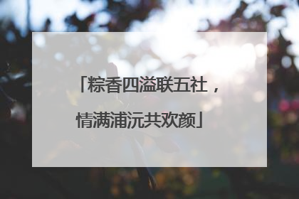 粽香四溢联五社，情满浦沅共欢颜