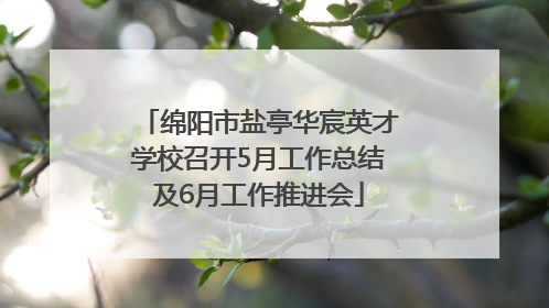 绵阳市盐亭华宸英才学校召开5月工作总结及6月工作推进会