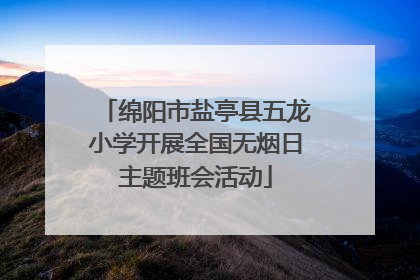 绵阳市盐亭县五龙小学开展全国无烟日主题班会活动