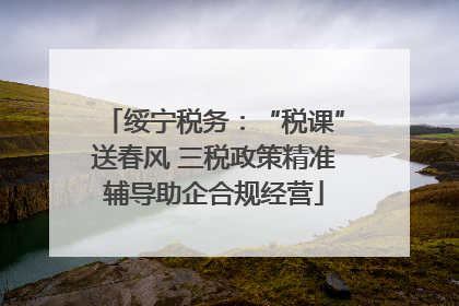 绥宁税务：“税课”送春风 三税政策精准辅导助企合规经营