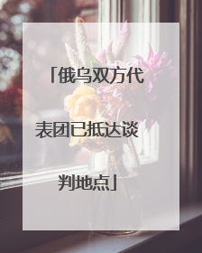 俄乌双方代表团已抵达谈判地点