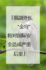 俄副外长：“金穹”将对国际安全造成严重后果