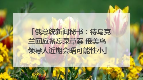 俄总统新闻秘书：待乌克兰回应备忘录草案 俄美乌领导人近期会晤可能性小