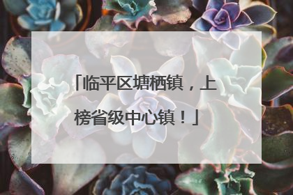 临平区塘栖镇，上榜省级中心镇！