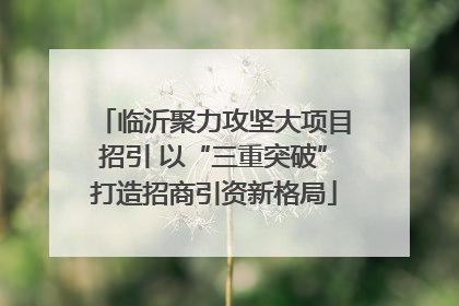 临沂聚力攻坚大项目招引 以“三重突破”打造招商引资新格局