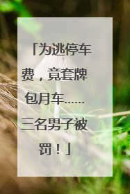 为逃停车费，竟套牌包月车……三名男子被罚！