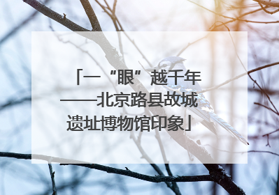 一“眼”越千年——北京路县故城遗址博物馆印象