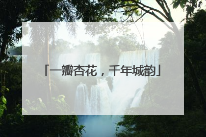 一瓣杏花，千年城韵