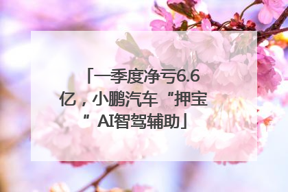 一季度净亏6.6亿，小鹏汽车“押宝”AI智驾辅助