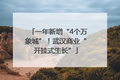 一年新增“4个万象城”！武汉商业“开挂式生长”