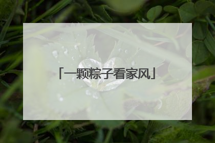 一颗粽子看家风