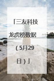 三友科技龙虎榜数据（5月29日）