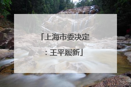 上海市委决定：王平履新