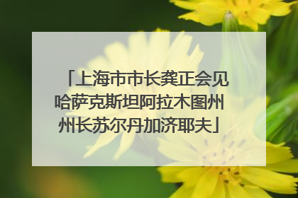 上海市市长龚正会见哈萨克斯坦阿拉木图州州长苏尔丹加济耶夫