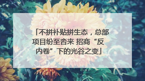 不拼补贴拼生态，总部项目纷至沓来 招商“反内卷”下的光谷之变