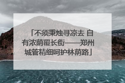 不须秉烛寻凉去 自有浓荫覆长街——郑州城管精细呵护林荫路