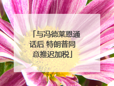 与冯德莱恩通话后 特朗普同意推迟加税