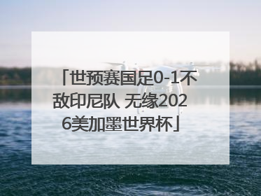 世预赛国足0-1不敌印尼队 无缘2026美加墨世界杯