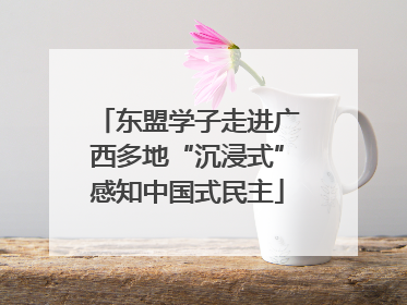 东盟学子走进广西多地“沉浸式”感知中国式民主
