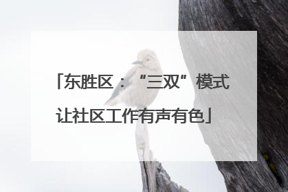 东胜区：“三双”模式让社区工作有声有色