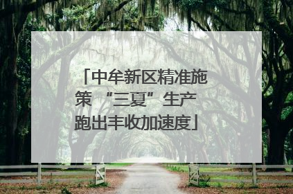 中牟新区精准施策 “三夏”生产跑出丰收加速度